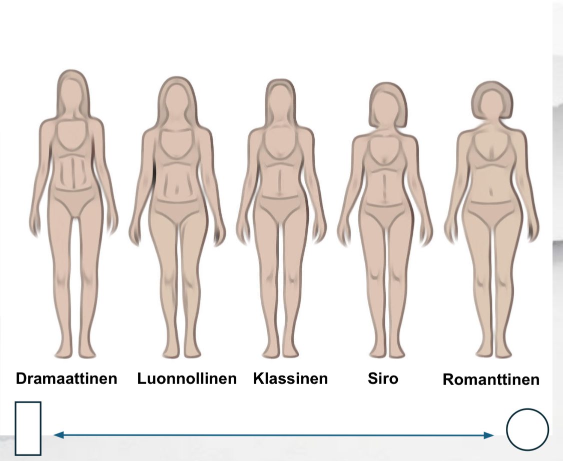 Vartalotyyppi David Kibbe